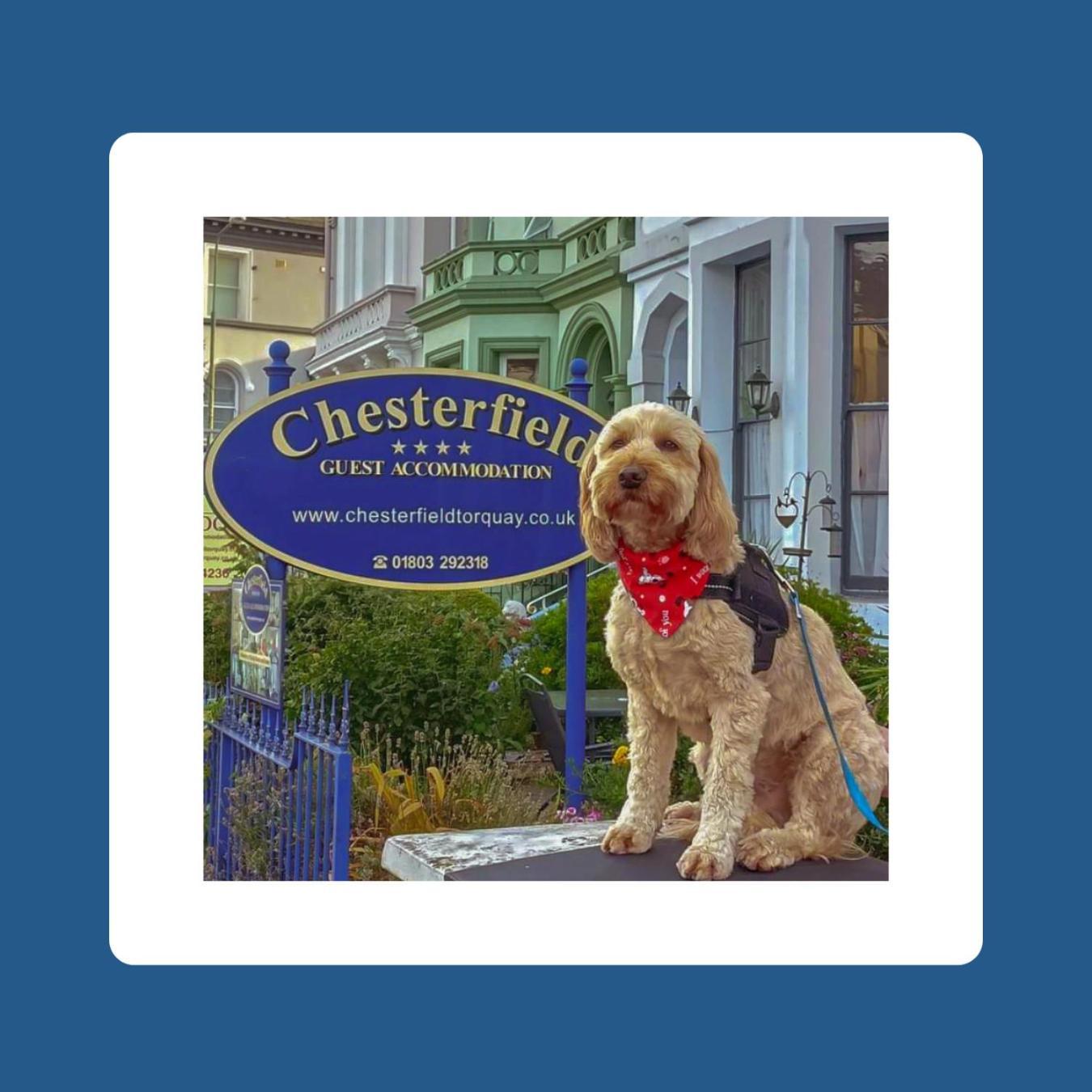The Chesterfield, Torquay (Adults Only) מראה חיצוני תמונה